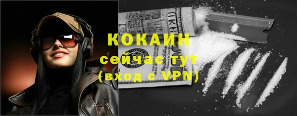 Альфа ПВП Гусев