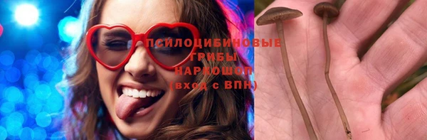 Альфа ПВП Гусев
