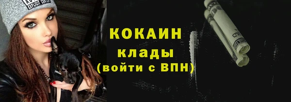 Альфа ПВП Гусев