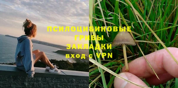 Альфа ПВП Гусев