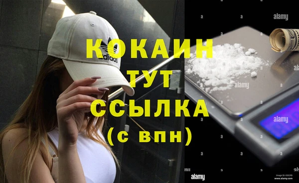 дмт Гусь-Хрустальный