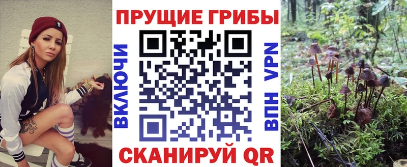 Галлюциногенные грибы мицелий Омутнинск